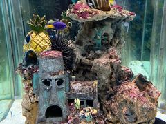 -太平洋海底世界