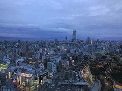-大国药妆(NEW心斎橋店)