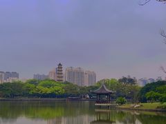 -江心屿景区
