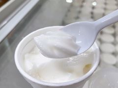 -洪馨椰子