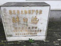 -上海醉白池公园