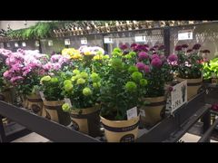 -鹿岛会员店 (龙湖三千集天街店)