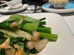 -新兴·金羊座·粤菜点心(乐峰店)