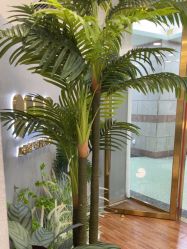 -八佰伴8008星级形象店