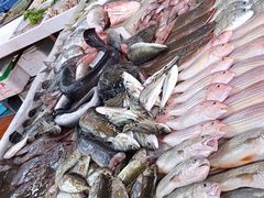 海鲜档口-桂园白粥·潮汕老味道