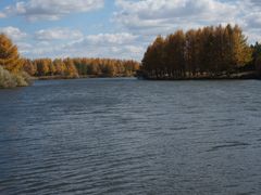 -塞罕坝国家级自然保护区