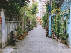 -猫色咖啡·猫咖