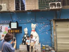 -猫咪博物馆(顶澳仔猫街店)