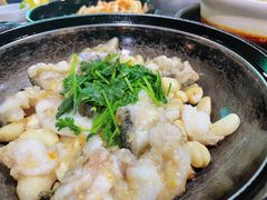-石岐乳鸽村(南海第三分店)