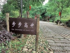 -天台国家森林公园水上茶乡九鹏溪