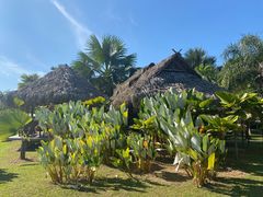 -中国科学院西双版纳热带植物园