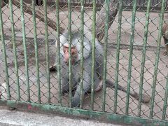 -合肥野生动物园