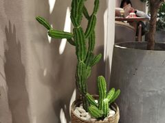 -可可厨房西餐厅