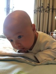 -龙文宝贝上门婴儿理发满月剃胎毛(浦东店)