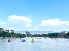 -枫香湖儿童公园