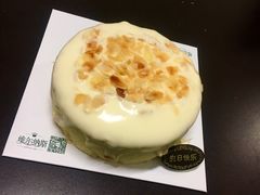 -维尔纳斯·生日蛋糕动物奶油冰淇淋蛋糕(人大店)