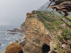 -杨梅坑