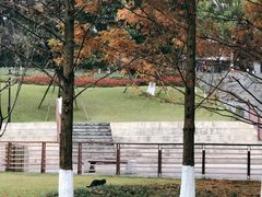 -龙头寺公园