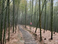 -宁波浙东大竹海景区