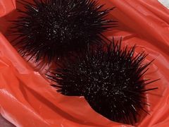 -宾朋海鲜特色美食餐厅·纯手工鲅鱼水饺(兴海路店)