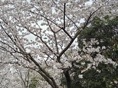 -玄武湖景区-情侣园游乐场