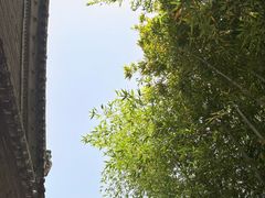 -罔极寺