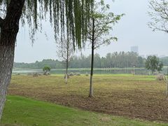 -滨湖塘西河公园