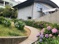 -台场海滨公园船码头