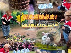 -正佳雨林生态植物园