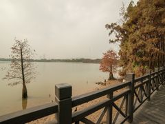 -海珠湖公园