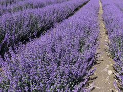 -麗枫酒店(成都理工大学地铁站店)