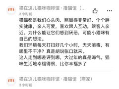 -猫在这儿猫咪咖啡馆·撸猫馆