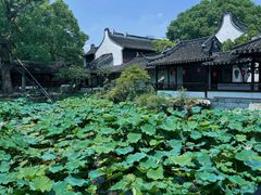 -上海醉白池公园