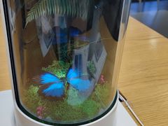 -小米之家(世博源店)