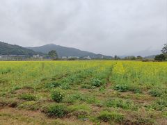 -碧水湾温泉
