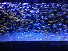 -成都浩海立方海洋公园