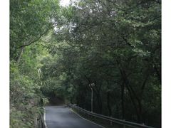 -金山公园