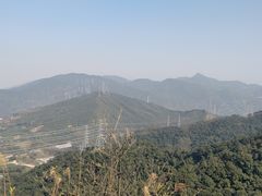 -梧桐山风景名胜区