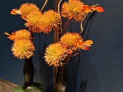 -徐记海鲜(南油永新汇店)