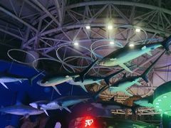 -烟台海昌鲸鲨海洋公园