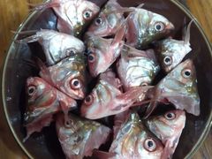 鲮鱼头-章记正宗南岗鱼蛋火锅