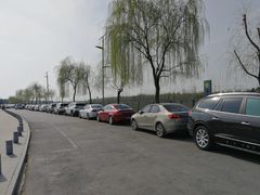 -洨河生态公园