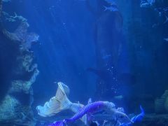 -多彩贵州城极地海洋世界