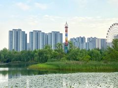 -洋湖国家湿地公园