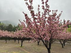 -青州市云门山风景区