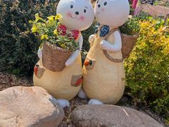 -上海共青森林公园