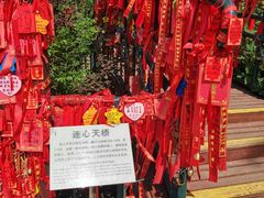 -信号山公园