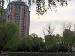 -团结湖公园