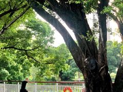 -人民公园(罗湖区)