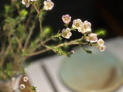 -菩提素素食餐厅(晶郦馆店)